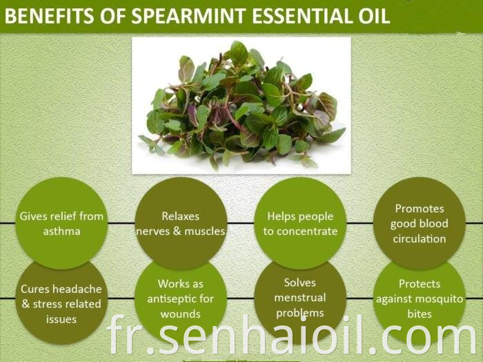 spearmint oil